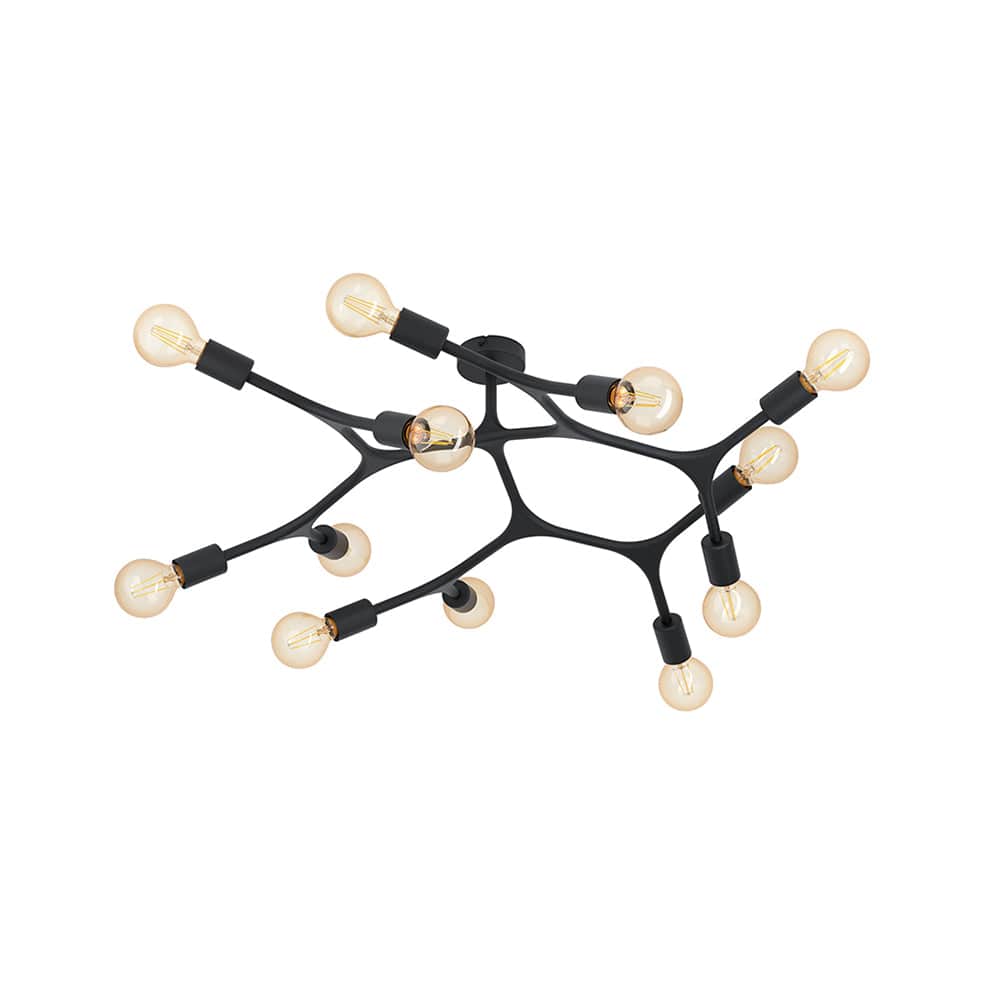 The Lighting Club lighting 12 Light Bocadella C687 0700254842349