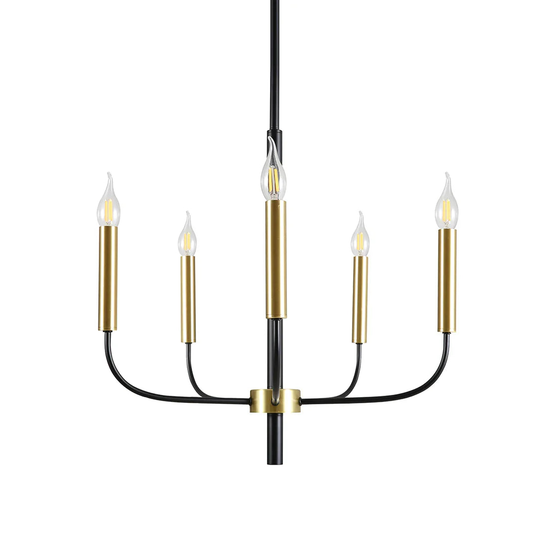 The Lighting Club Chandelier 5 Light Regency Black and Gold Metal Chandelier - 5 Light | 10 Light CH714/5 GD/BK 6007226090666