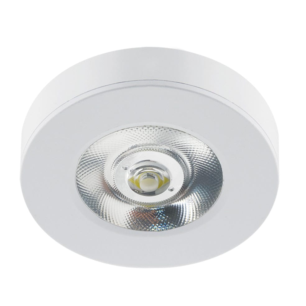 The Lighting Club DOWNLIGHT Medium / White Reid Metal Downlight White or Black | Small or Medium DL117 WHITE 6007226084498