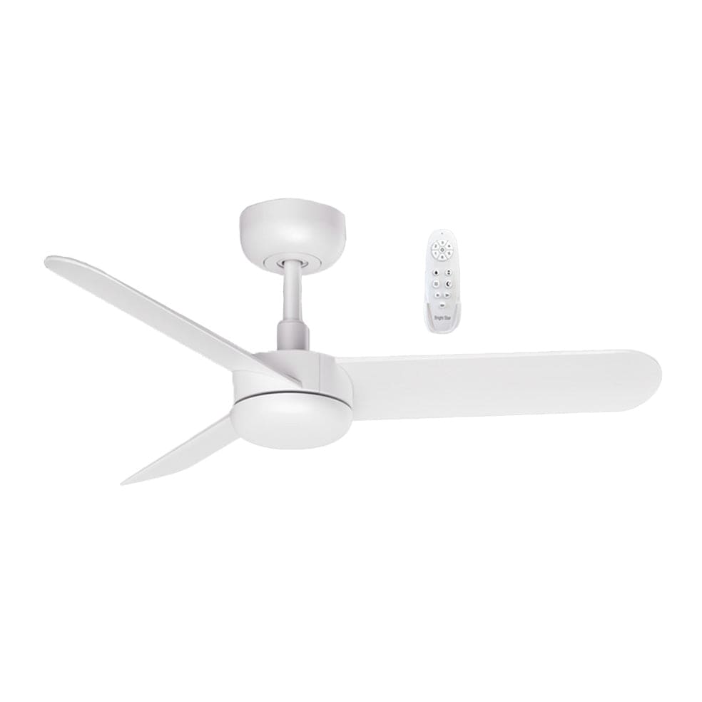 The Lighting Club Ceiling Fans Spencer Ceiling Fan White FCF088 WHITE 6007226083965
