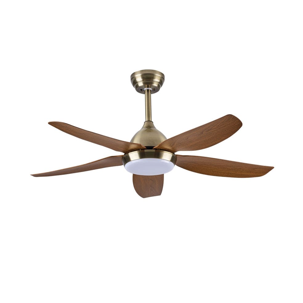 The Lighting Club Ceiling Fans Antique Brass and Brown Tundra Metal Ceiling Fan with LED Light Black | White | Brown FCF097 ANTIQUE 6007226087161