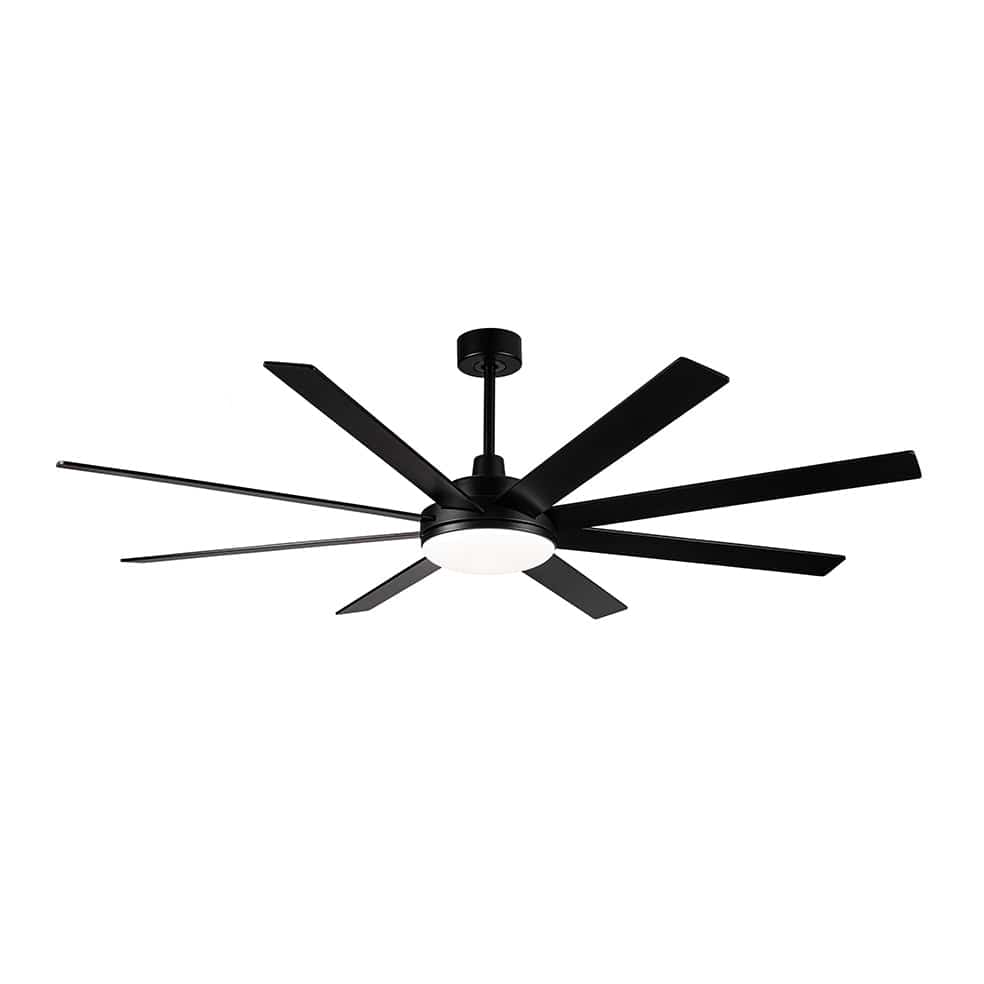 The Lighting Club Ceiling Fans Black Tundra Oversized Ceiling Fan with LED Light Black | White FCF102 BLACK 6007226087901