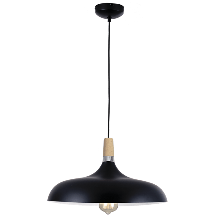 The Lighting Club Black Aruba Curve Pendant