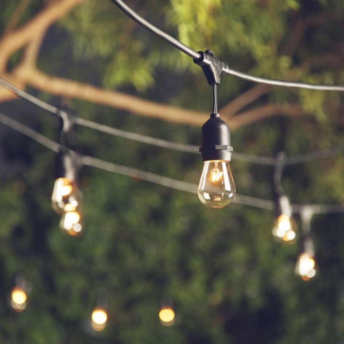 The Lighting Club Outdoor Light Festoon Outdoor String Lights Black W-KLCH-10/10